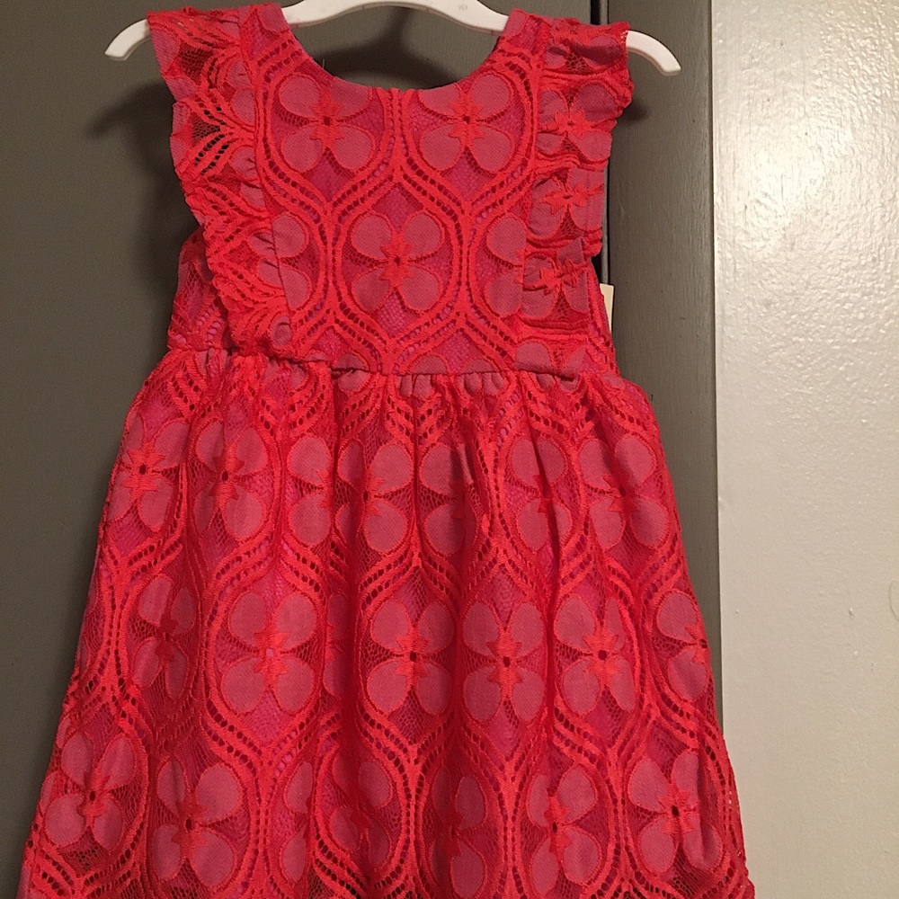 NWT little girls pink dress